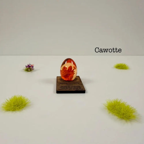 Dofus cawotte XS