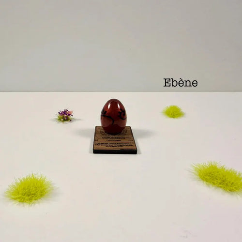 Dofus ebene XS