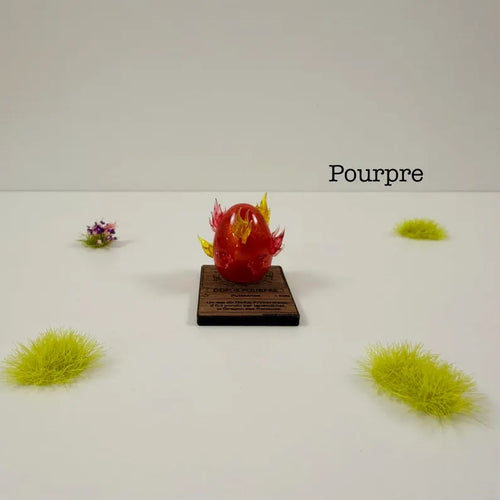 Crimson Dofus XS
