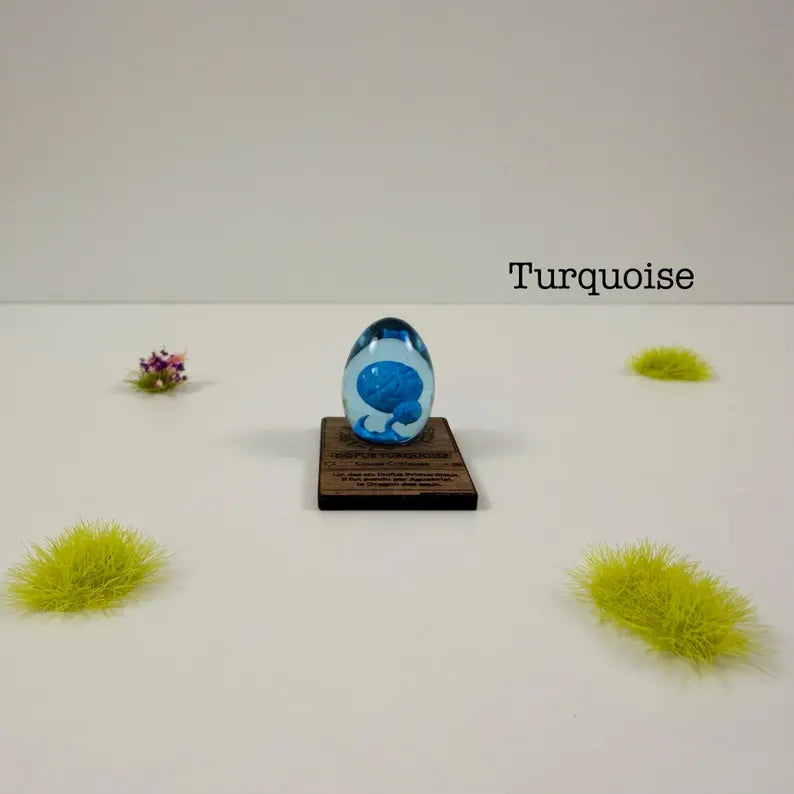 Dofus turquoise S