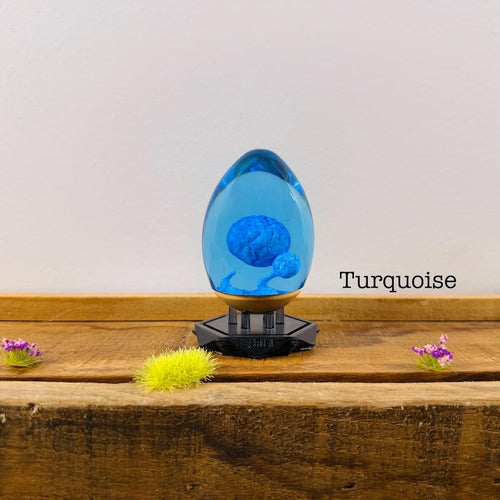 Dofus turquoise L