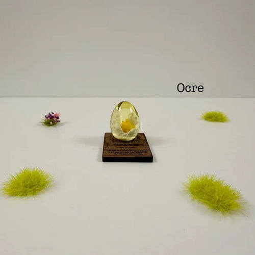 Dofus ocre XS