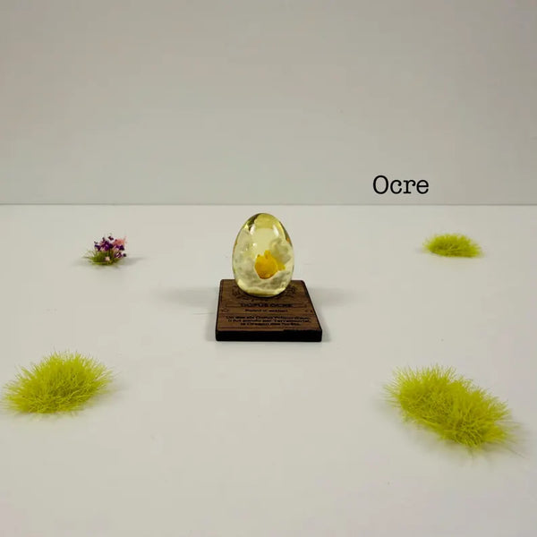 Dofus ocre XS