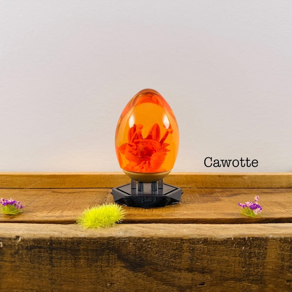Dofus cawotte L